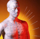 Needle I go deeper? Acupuncture needles sticking in a male mannequin