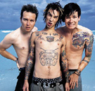 Even Blink182 can't believe you like them. Blink182