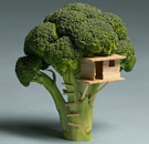 Treehouse in broccoli