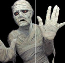 Why did the mummy go into the military? To join the Marine Corpse. Mummy in white wrappings