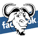 Bull on a Facebook logo