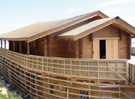 Noah's Ark