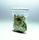 Smells like teen spirit, not pot. Bag of Weed