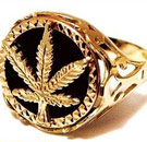 You can't buy respect. Gold marijuana ring