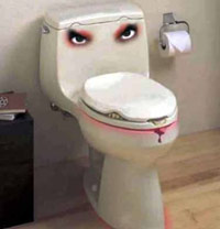 Angry toilet
