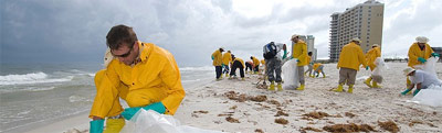 BP employees clean up a beach next to a hotel