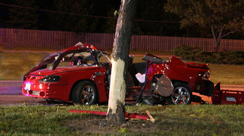 Red car crashed into a tree