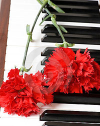Carnations on top of piano keys