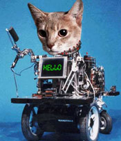 Cat robot