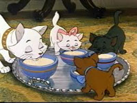 Cats feeding bowls