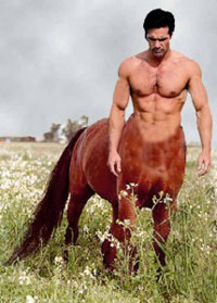 Centaur vampire horse man