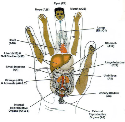 Korean hand chart for acupuncture
