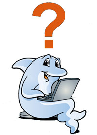 Dolphin taking a quiz on a laptop