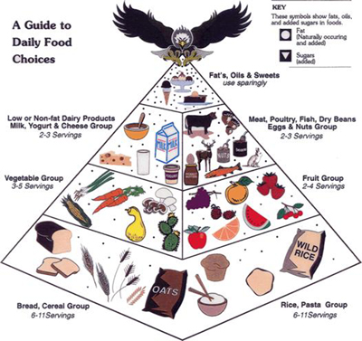 US Food Pyramid