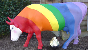 Gay rainbow cow