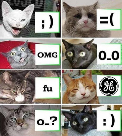 General Electric Funny Cats Distraction iPhone App