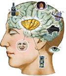 Memorization brain