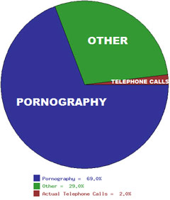 Internet usage graph (mostly pornography)