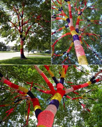 Trees covered in knitting