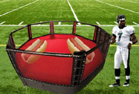 WWE ring on the football field