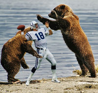 Peyton Manning being mauled by grizzly bears during a pass