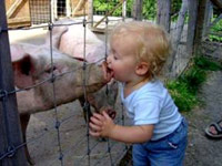 Kid kissing pig on snout