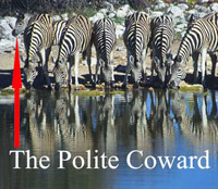 One zebra can't get to the watering hole