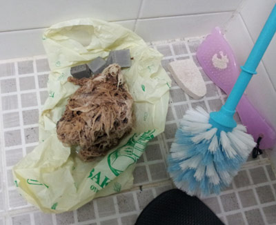 Poop cloth in toilet