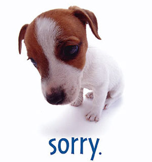 Dog is sorry