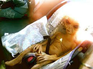 Alien seat belt