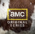 AMC Original Series