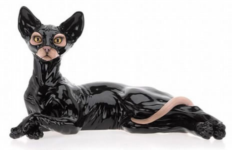 Sphynx cat in sexy leather outfit