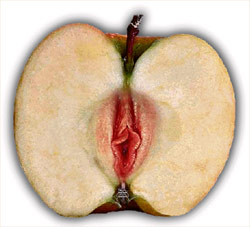 Half of an apple with a pussy core