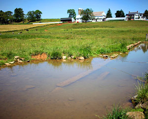 Amish country pollution