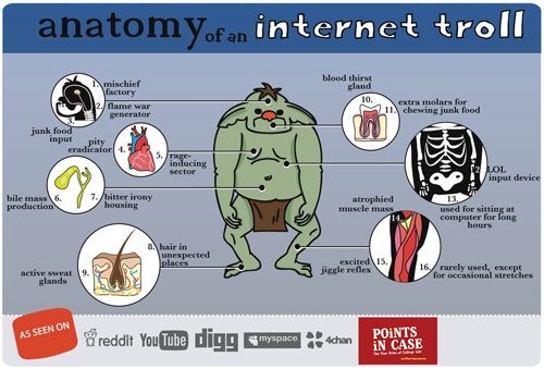 Anatomy of an internet troll
