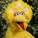 Big Bird