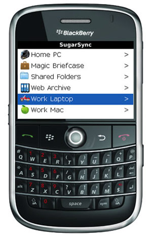 Blackberry Magic Briefcase feature