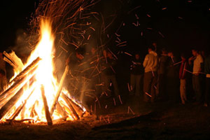 Bonfire in a field