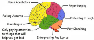 Parts of the brain