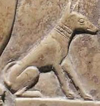 Ancient dog carving