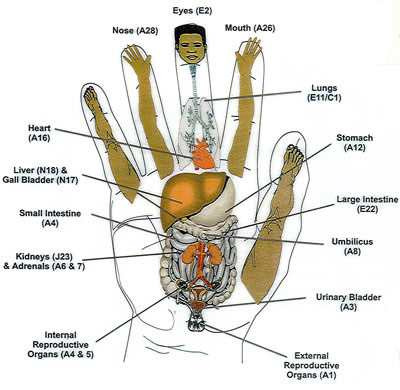 Korean Acupuncture Hand Chart