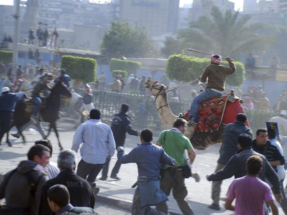 Guy on a camel with a whip during Egypt riots