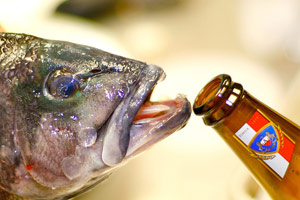 Fish drinking a beer bottle in water