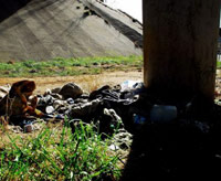 Homeless bridge camp