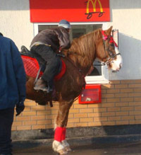 Horse at a drive-thru