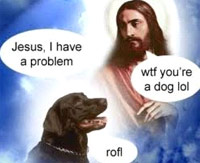 Jesus problem dog