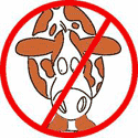 No cows allowed