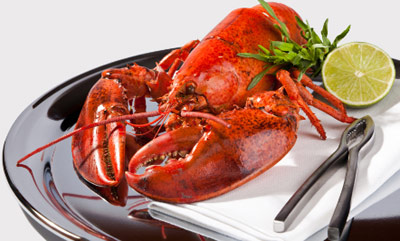 Lobster on a fancy dinner