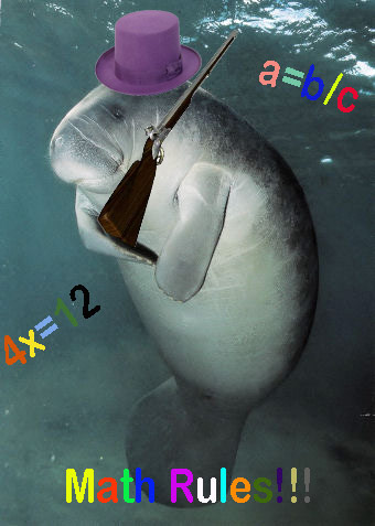 Manatee "Math Rules" poster