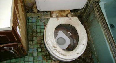 Nasty toilet in a gross bathroom
